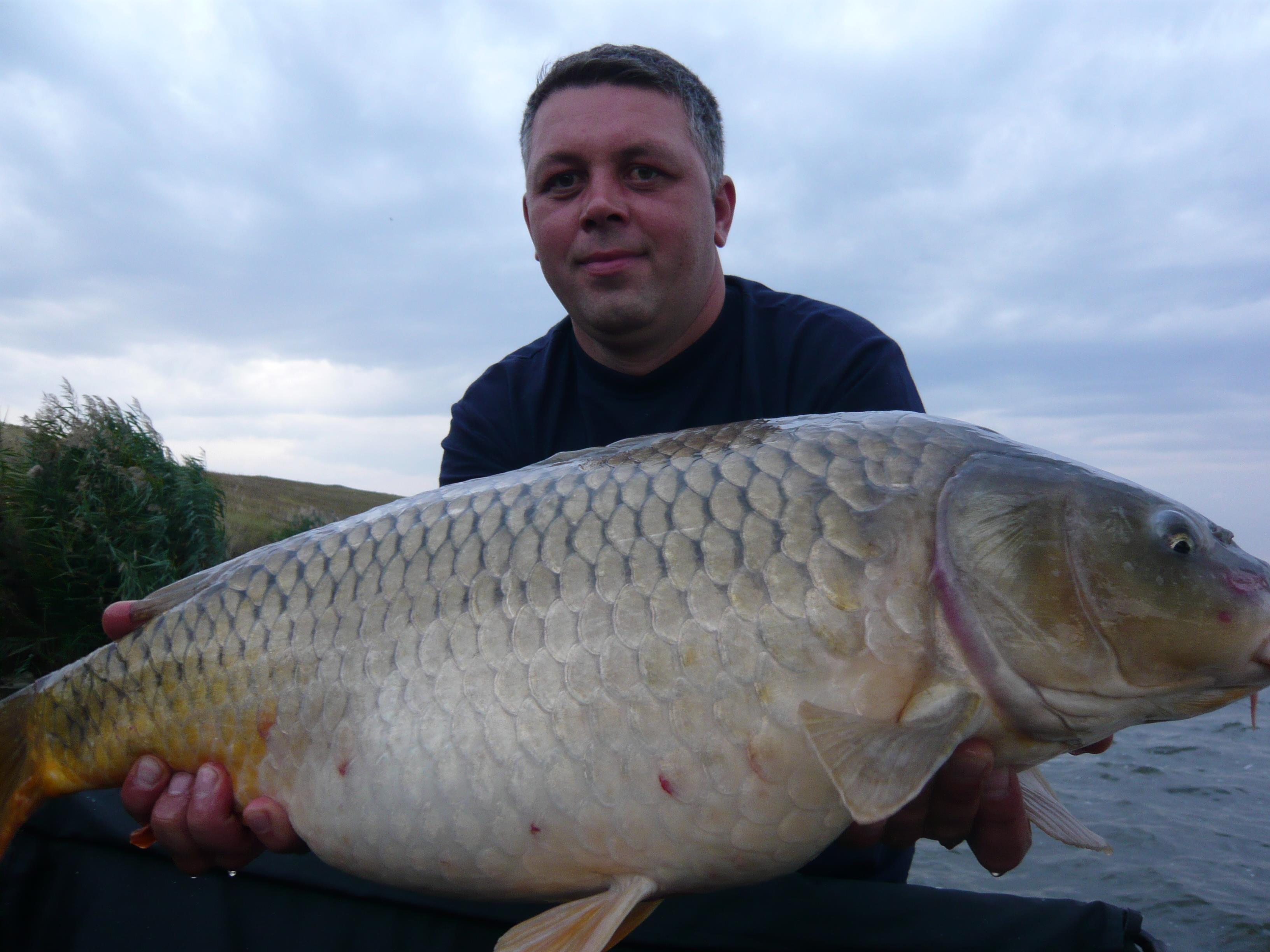 lates 2012 - P1020789.JPG